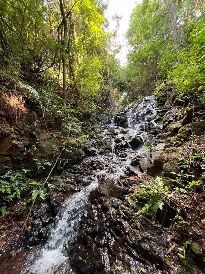 Hotel Fazenda Vale Alvorada กัสกาเวล ภายนอก รูปภาพ